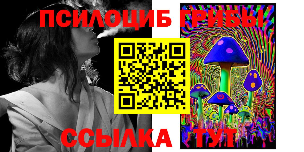 Галлюциногенные грибы прущие грибы  Псилоцибиновые грибы Psilocybe  Вход с VPN  Мирный 
