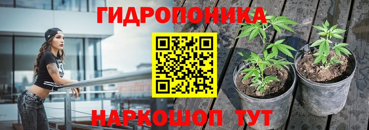 Бошки Шишки LSD WEED  Каннабис SATIVA & INDICA  Вход с VPN  Мирный  Канабис VHQ  Бошки марихуана AK-47 